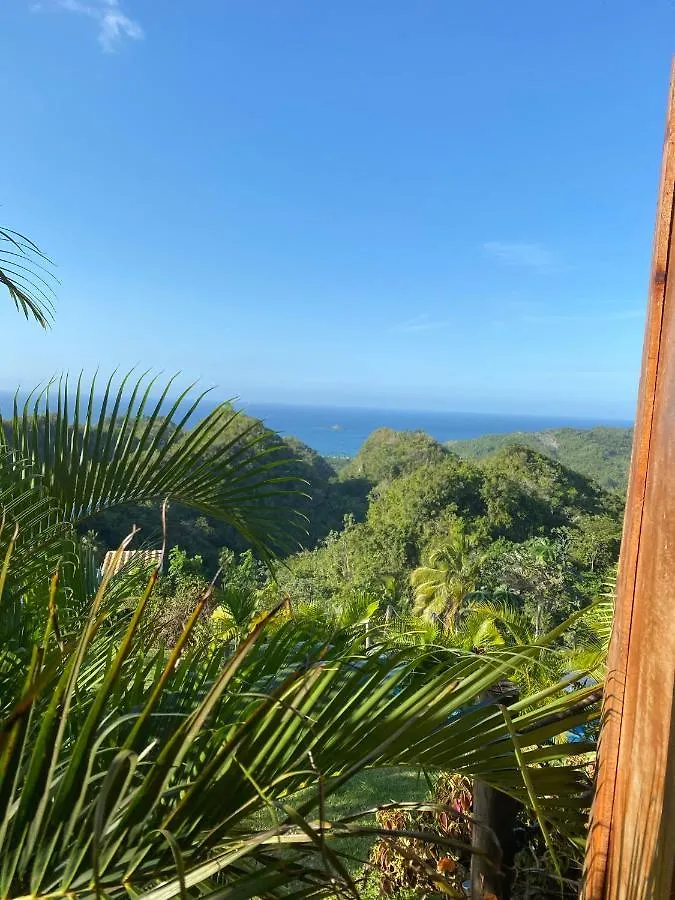 ヴィラ El Limón Eco Casa Alganaヴィラ