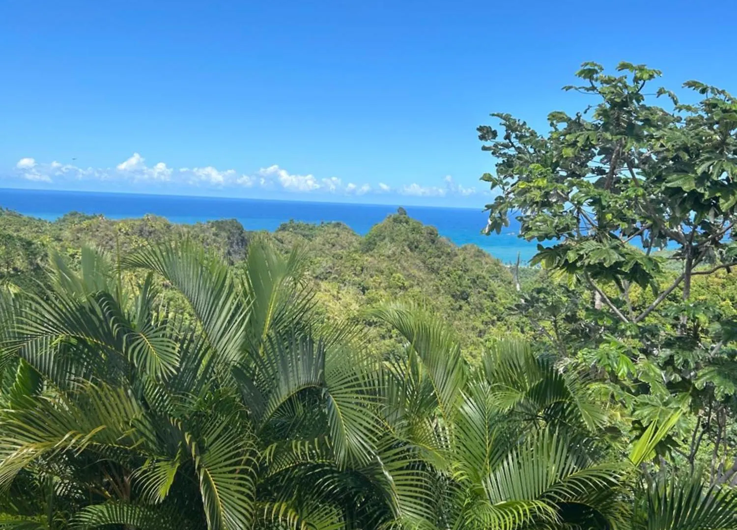 Casa Algana Villa El Limon Dominican Republic
